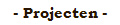 - Projecten -